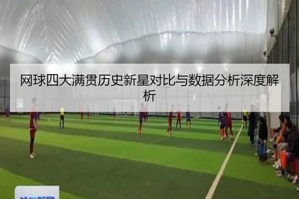 网球四大满贯历史新星对比与数据分析深度解析